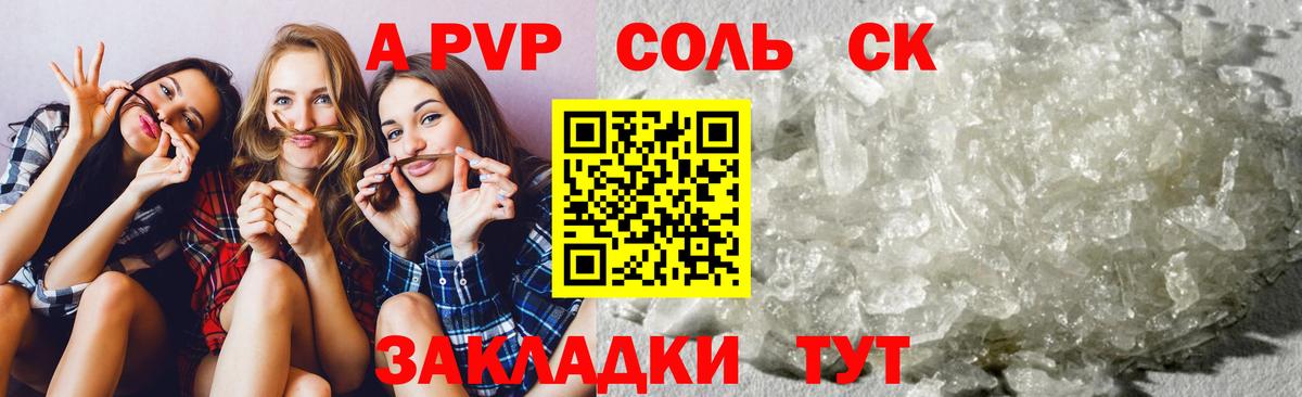 A PVP СК Архангельск