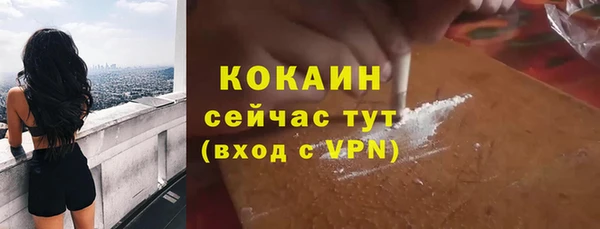 мдпв Ладушкин