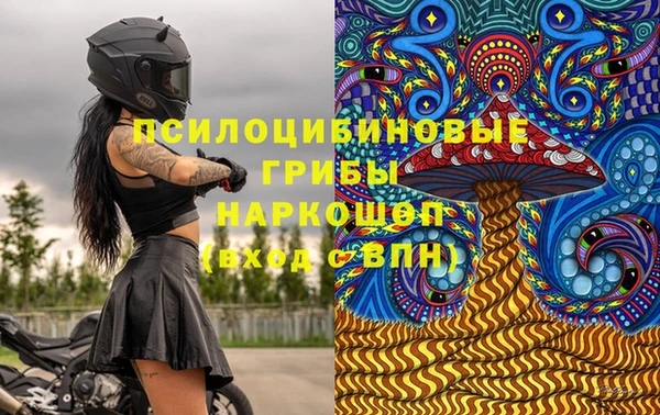мдпв Ладушкин