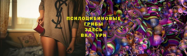 мдпв Ладушкин