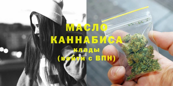 мдпв Ладушкин