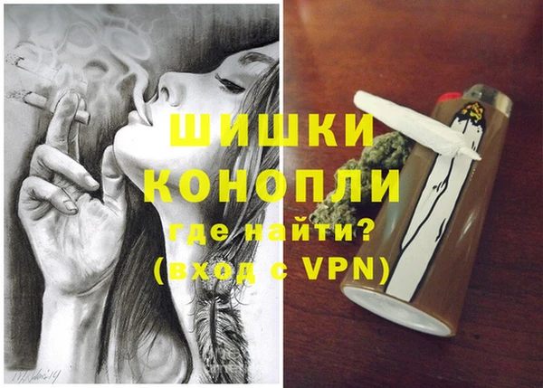 мдпв Ладушкин
