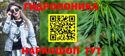 индика Абинск