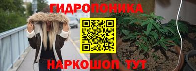 индика Абинск