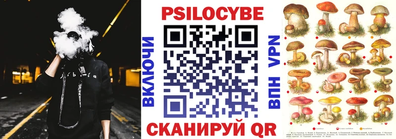 Галлюциногенные грибы Cubensis  как найти наркотики  Архангельск 