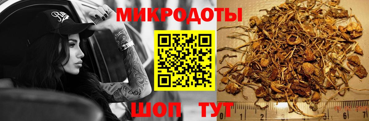 Архангельск  Псилоцибиновые грибы Cubensis  купить  цена  Вход с VPN  Галлюциногенные грибы прущие грибы 
