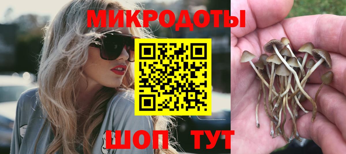 Галлюциногенные грибы Cubensis Архангельск