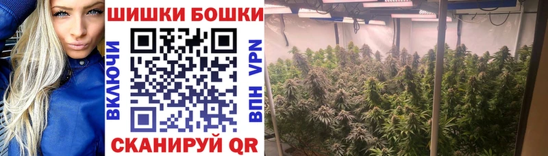 Бошки Шишки конопля  продажа наркотиков  Архангельск 